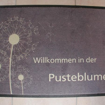 Ferienwohnung Pusteblume 科赫姆 客房 照片