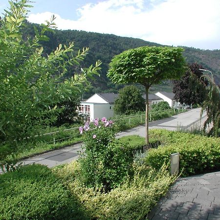 Ferienwohnung Pusteblume 科赫姆 外观 照片