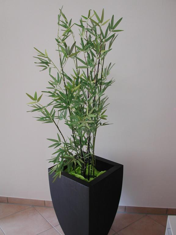 Ferienwohnung Pusteblume 科赫姆 客房 照片
