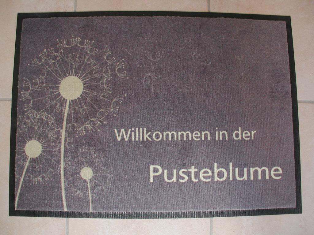 Ferienwohnung Pusteblume 科赫姆 客房 照片