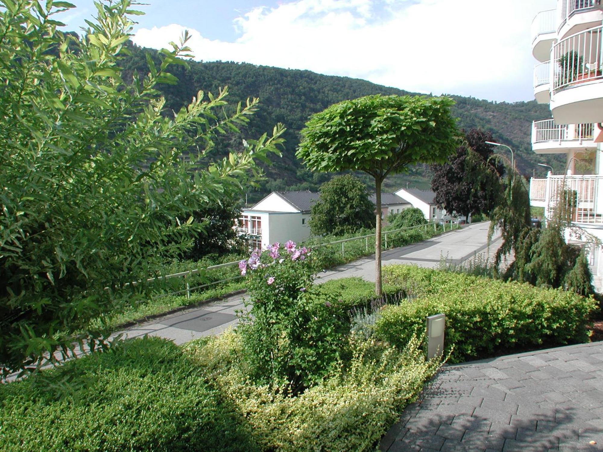 Ferienwohnung Pusteblume 科赫姆 外观 照片
